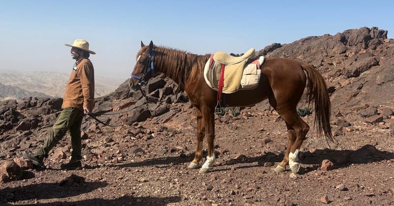De Petra à Wadi rum 9 jours 8 nuits  dont 6 jours complet à cheval