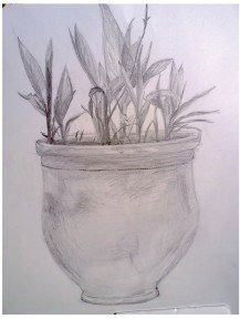 Dessin aux crayons à papier de type H, B et HB, sur format "raisin"