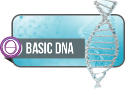 ThetaHealing® Bāzes kurss (Basic DNA)