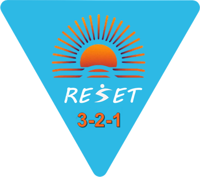 RESET 321