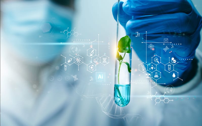 Orphan Medicines Supply