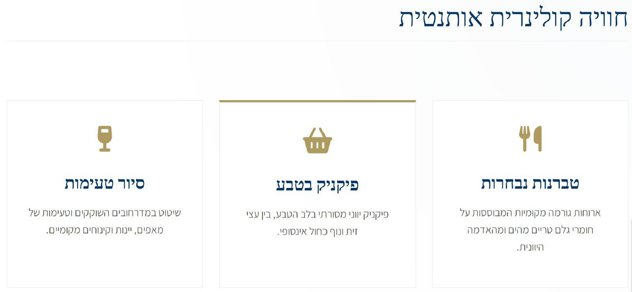 תיאור מפורט