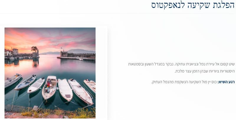 תיאור מפורט