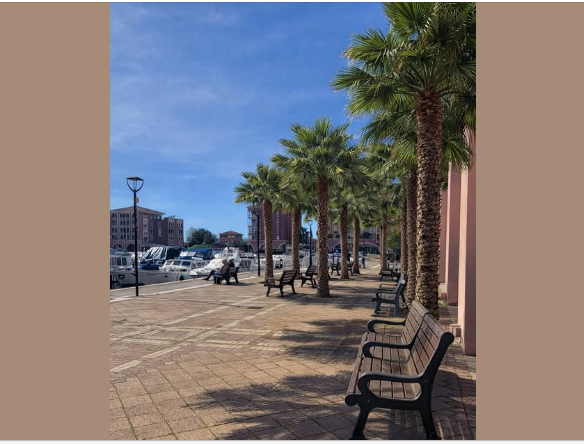 Port Ariane : végétaliser les quais, vraiment