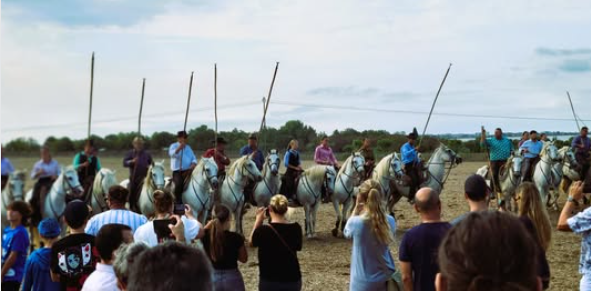 Des festivités et animations pour faire battre le cœur de Lattes