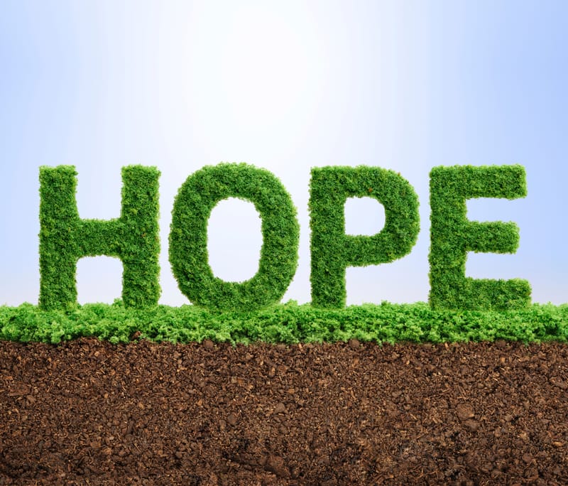 聖國添福*福添植物 SANCTIFY*Blessing Plants