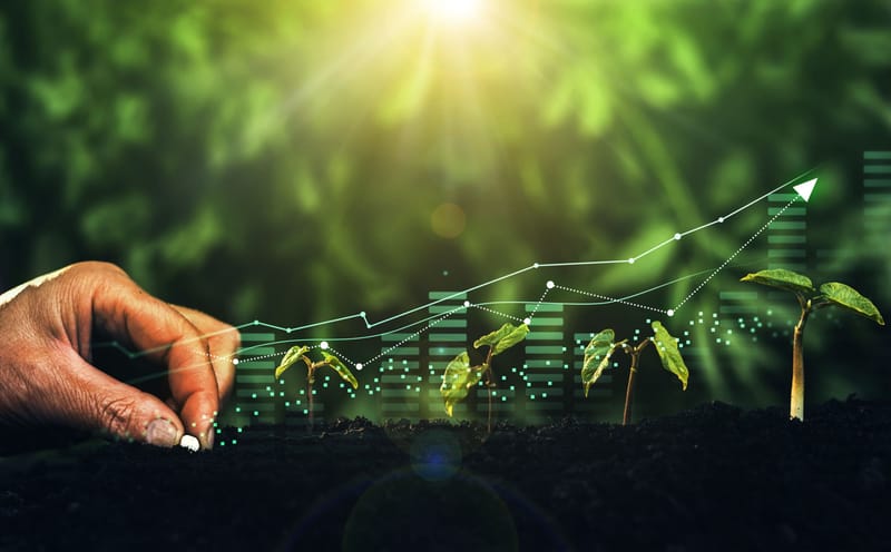 Conseil en Développement Commercial