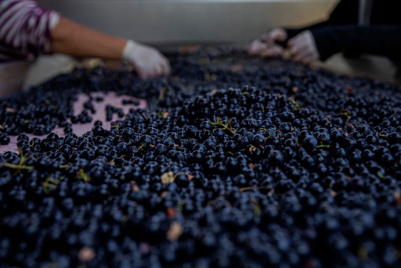 Prestations de service