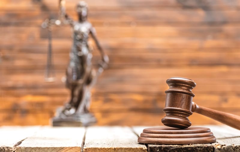 Protecting the Wild Foundations of a Healthy Planet