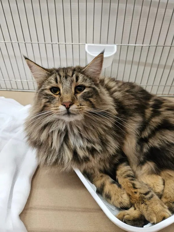 On the day of the show.