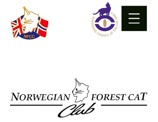 Norwegian Forest Cat Club