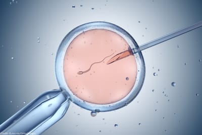 At Least 12 Million Babies Have Been Born Thanks To IVF