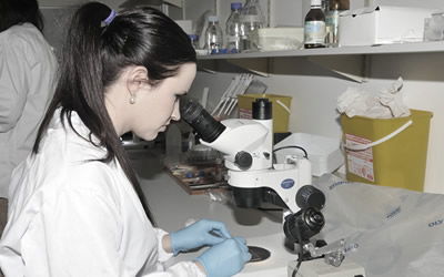 NHLS Vacancies – Multiple Laboratory Positions Across South Africa