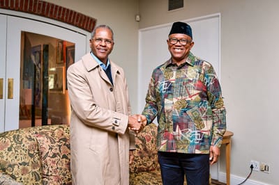 Xenophobia: Nigeria's Peter Obi Meets Top South African Ministers and Political Leaders