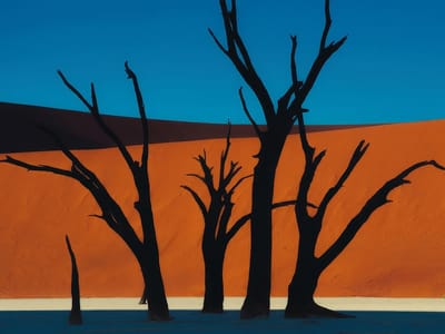 Johannesburg Set to Host Its First-Ever Exhibition of the Sony World Photography Awards