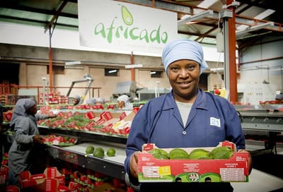 AgDevCo Ventures Secures $49 Million First Close to Back Early-Stage Agribusinesses