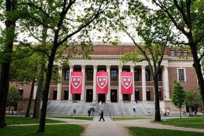 Harvard Environmental Fellows Program 2027