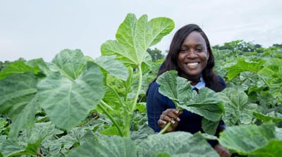 East-West Seed's Pamela Afokpe Wins 2026 Norman Borlaug Award at World Food Prize