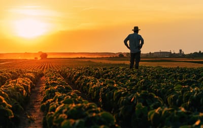 Opportunity for PhD and Postdoctoral Researcher Positions in Crop Yield Estimation, KU Leuven, Belgium