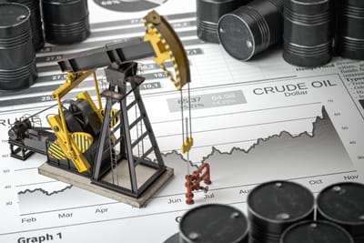 OPEC+ Agrees to a Further Increase in Output Targets