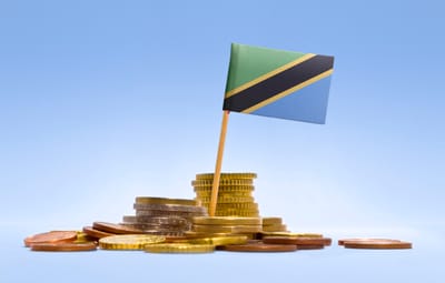 Tanzania Opens Its Domestic Government Securities Market to Global Investors