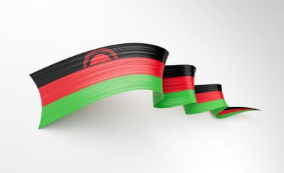 Driving Digital Transformation of the Economy in Malawi