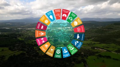 United Nations Volunteer Programme 2026