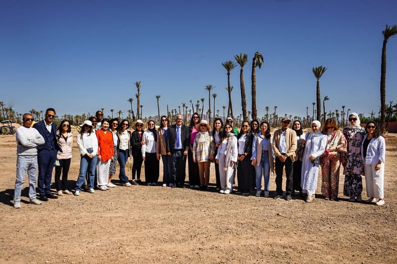 Voyages d’Études & Immersions internationales