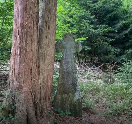 ✝️ La croix de Maria Fays – Bois de Bertrix / Auby