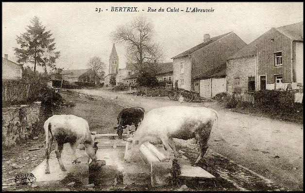 Rue du Culot - Bertrix