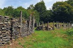 Oppidum du Trinchî (Cugnon):