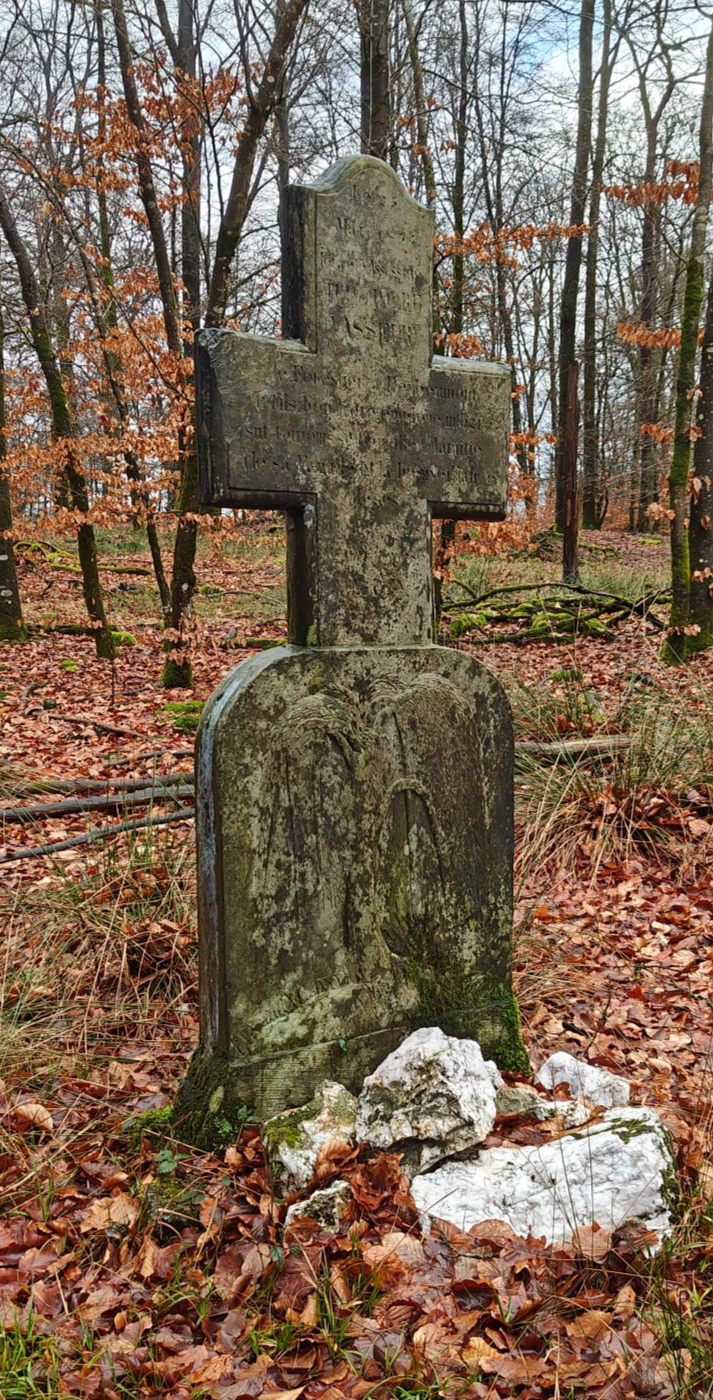 ✝️ Croix d'Occis dans les bois près de la Maljoyeuse