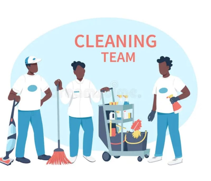 Basic Cleaning Package- $110