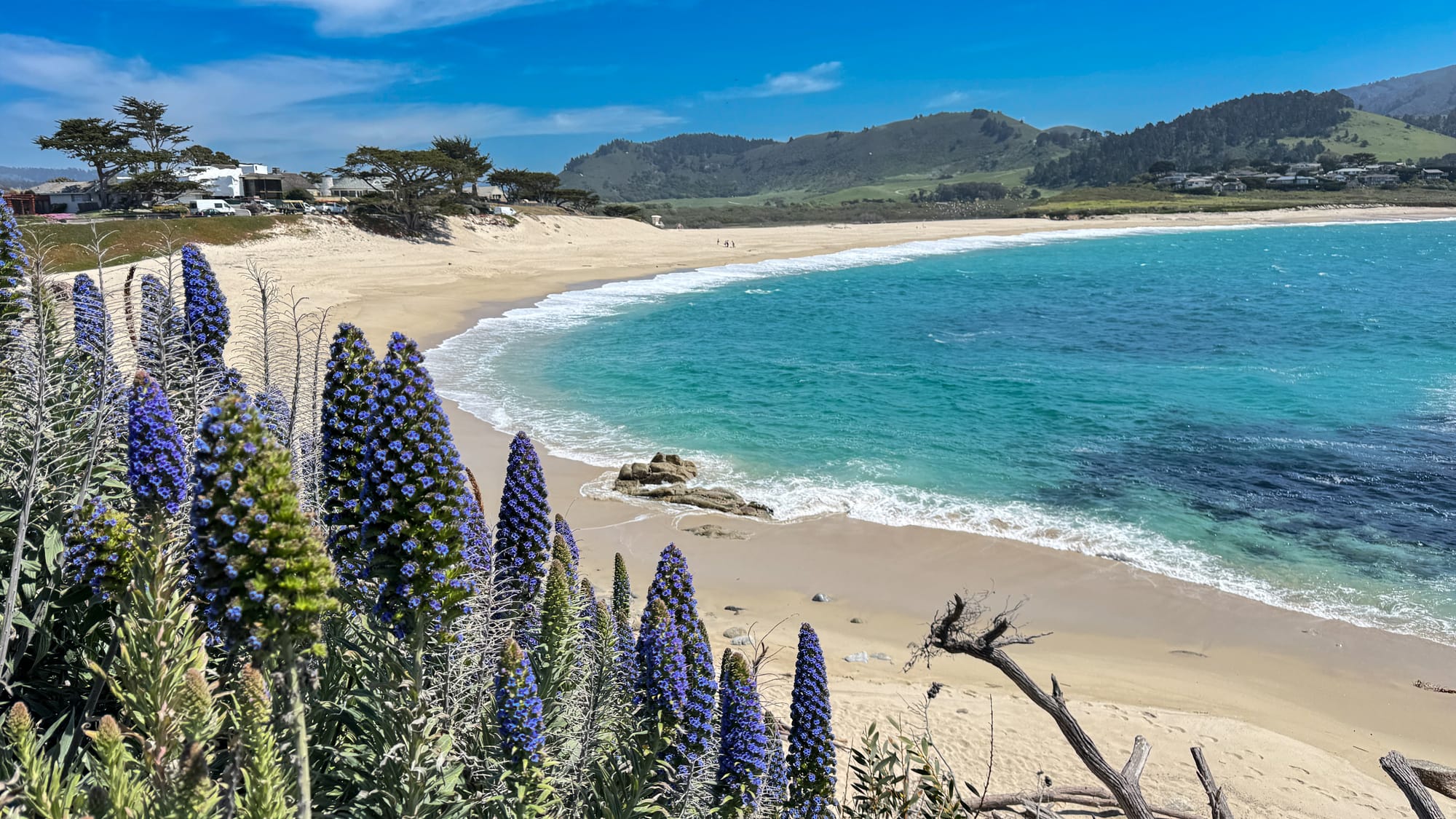 Carmel River State Beach
