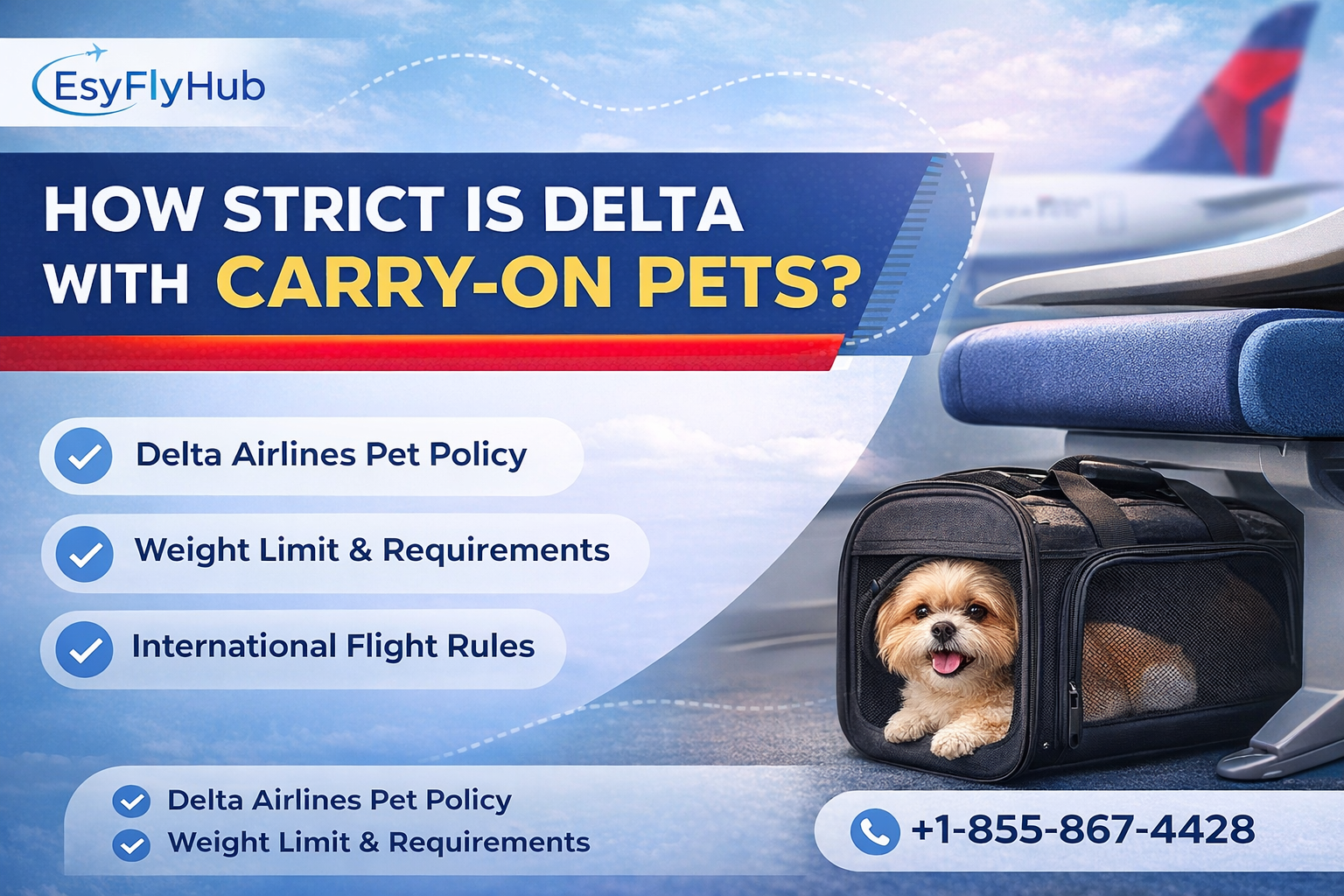 How Strict Is Delta With Carry-On Pets?