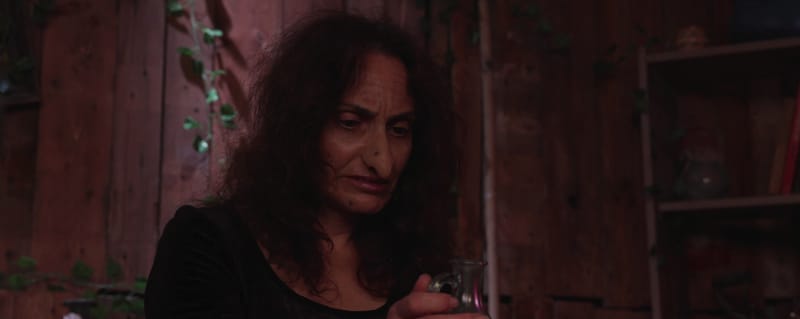 וולוטו - בימוי ניר שגיב