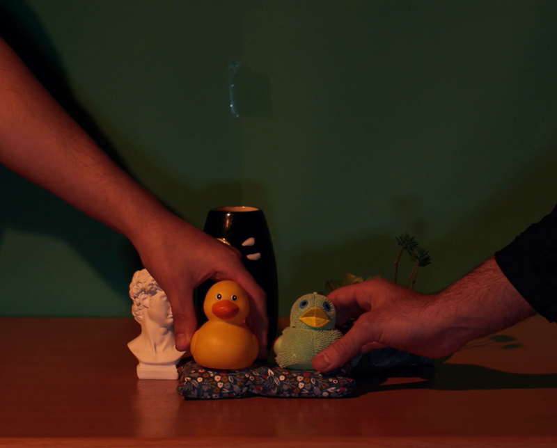 ריפוי בברווזים - בימוי יונתן שבת