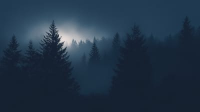 Unseen worlds library