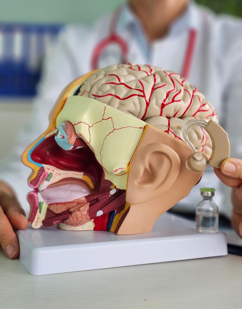 Physical and Mental Assessment and Rehabilitation