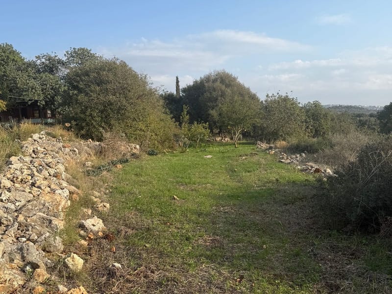 ריטריט בכליל