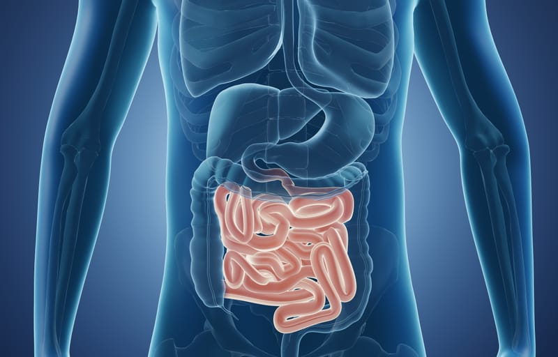Intestino irritabile, gonfiore, reflusso