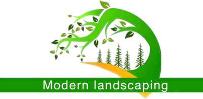 Modern Landscaping