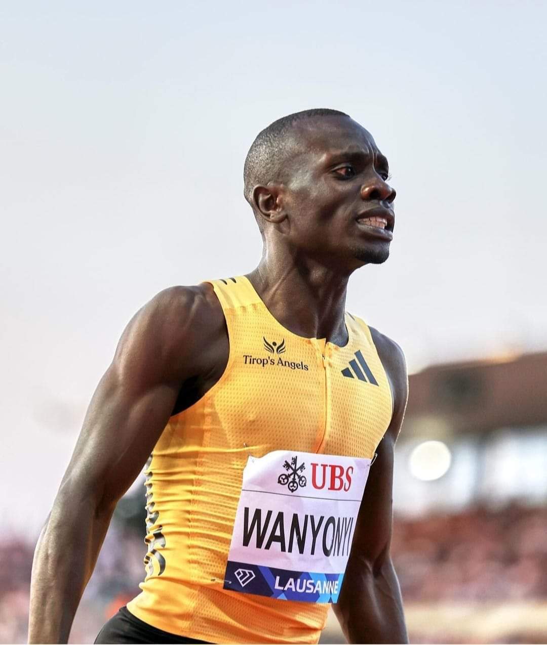 الكيني إيمانويل وانيوني يقترب
من الرقم القياسي العالمي في سباق 800 متر