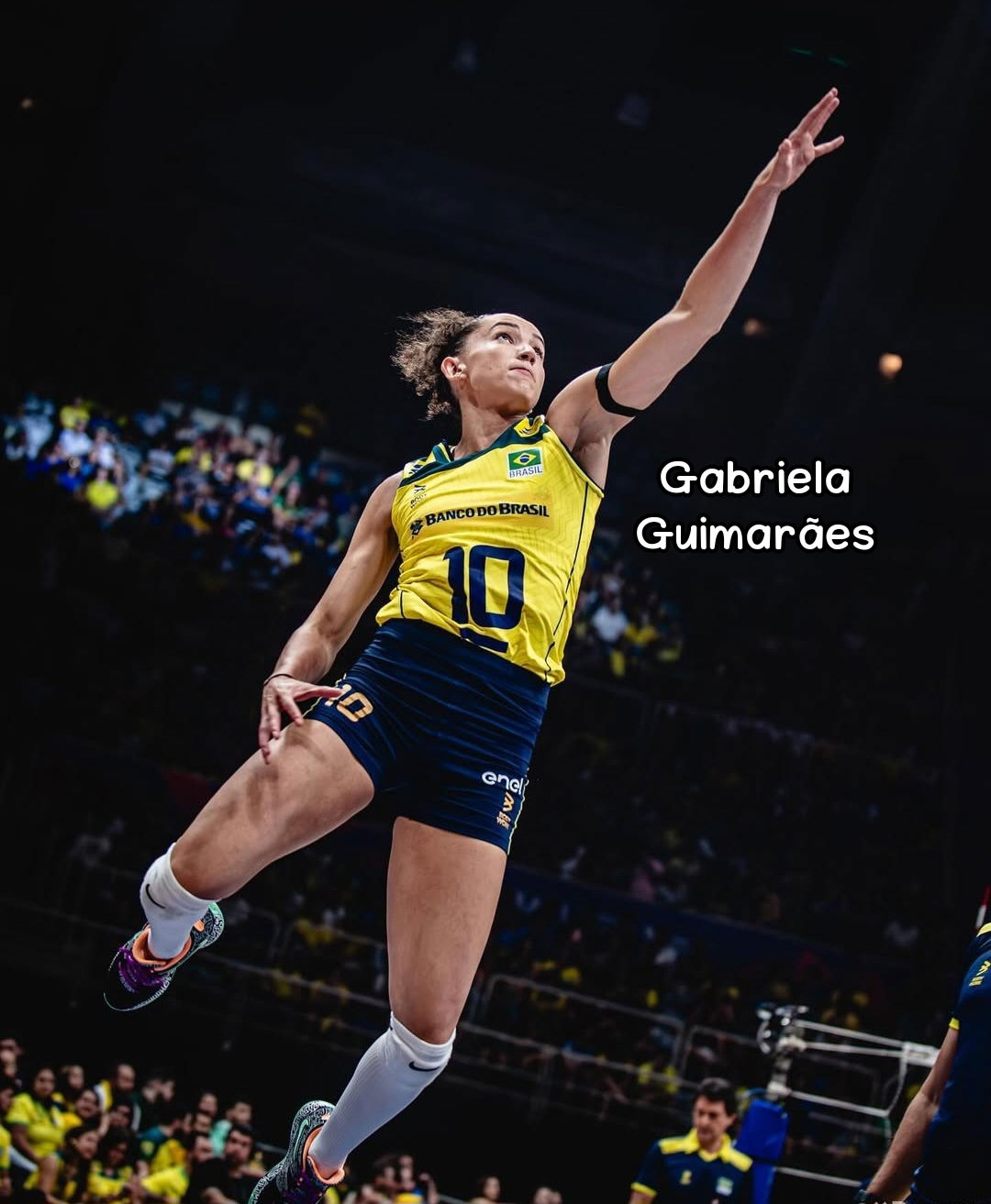 البرازيل تحتفي بنجوم الكرة الطائرة