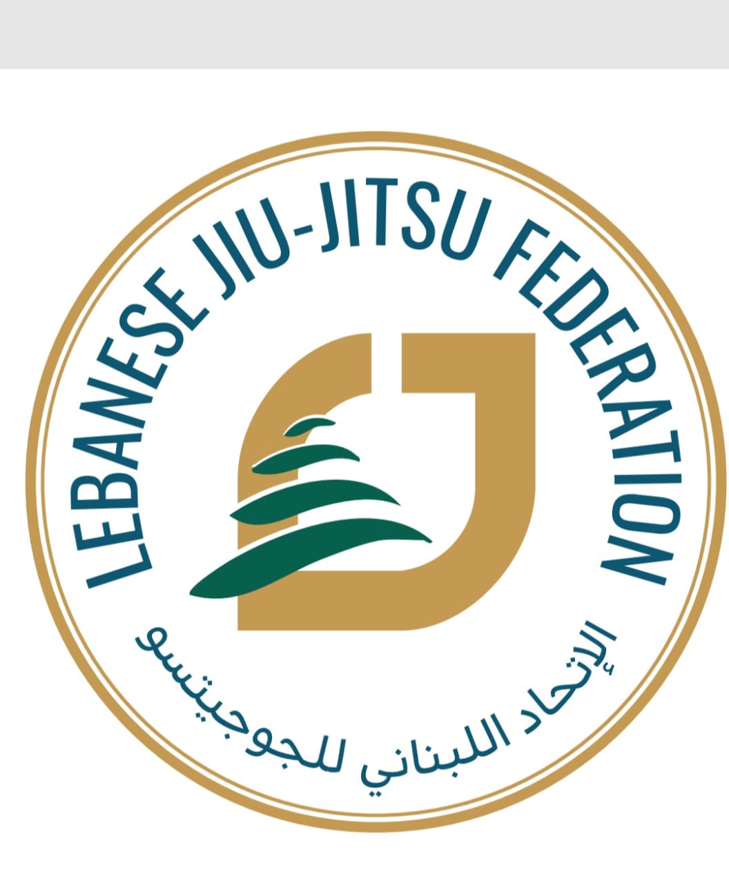 مقرارات الاتحاد اللبناني للجوجيتسو