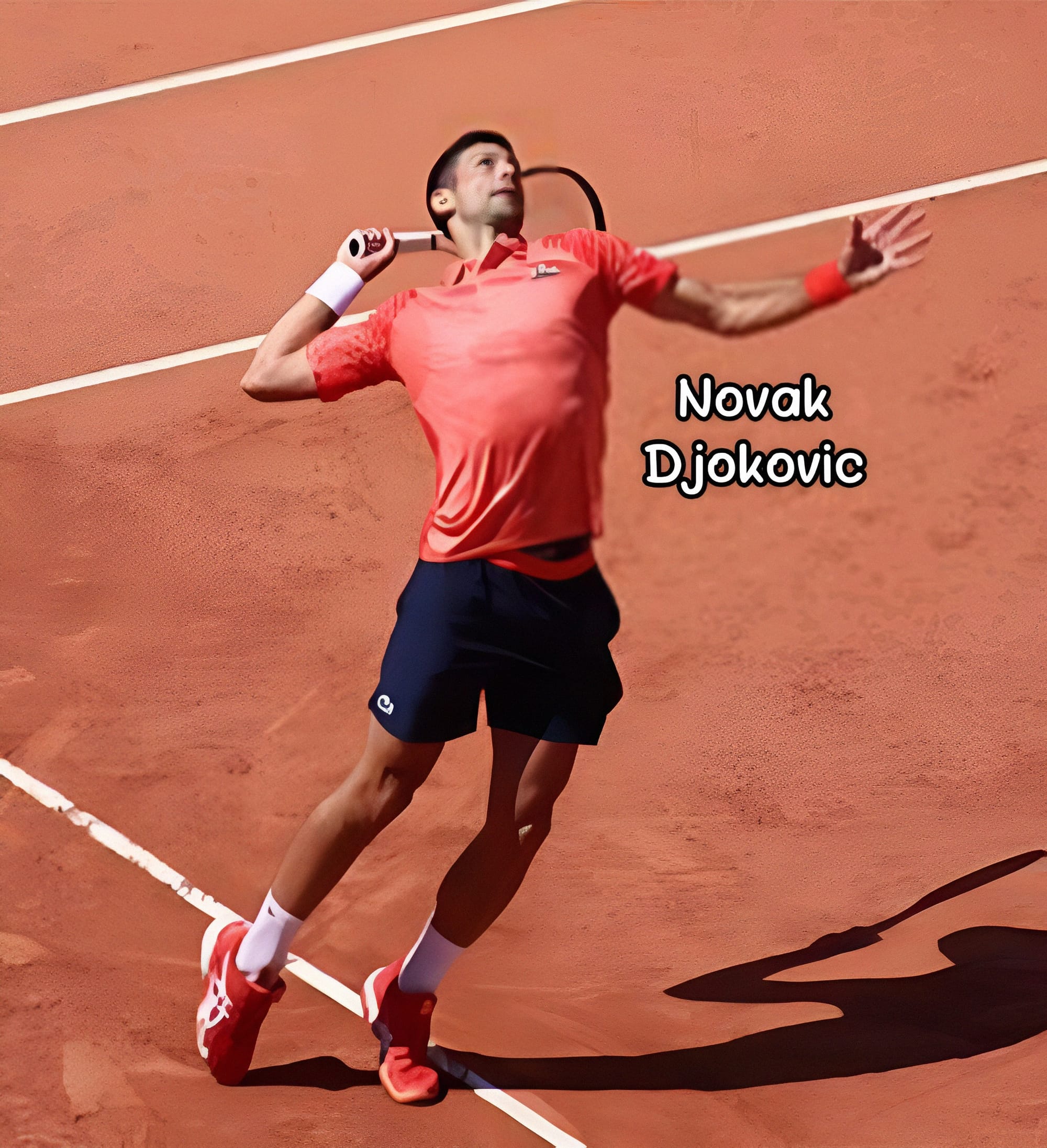 سر لياقة ديوكوفيتش