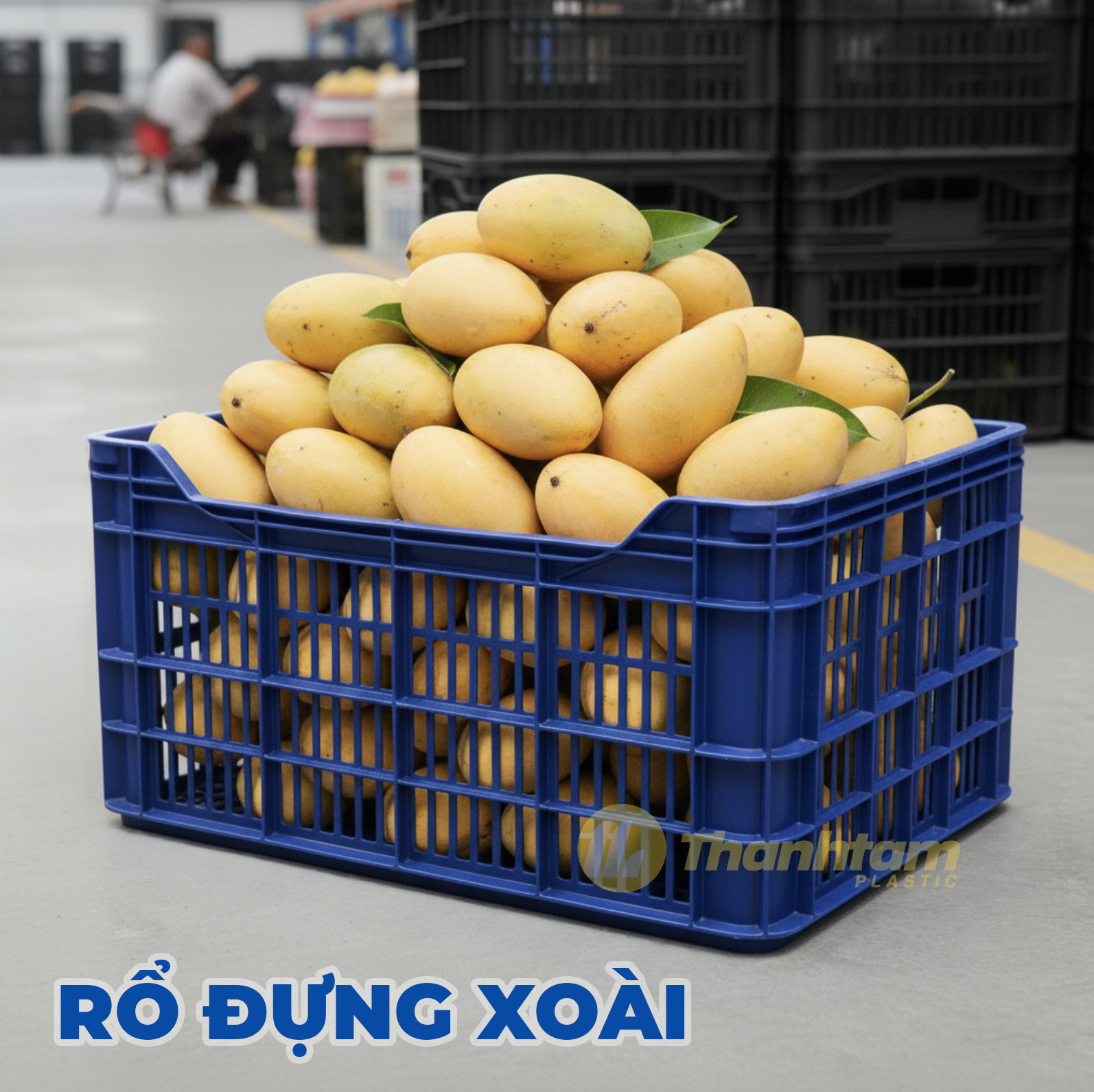 Rổ Xoài góc 3