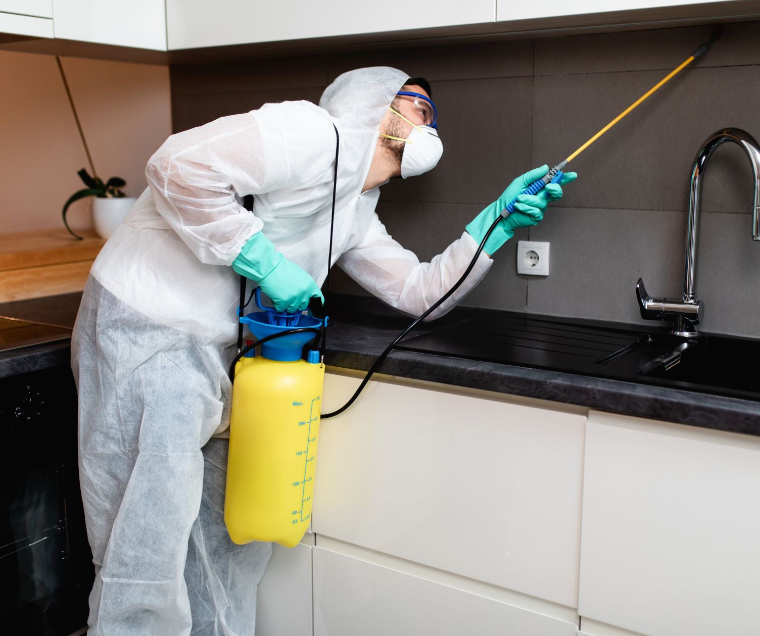 مكافحة حشرات