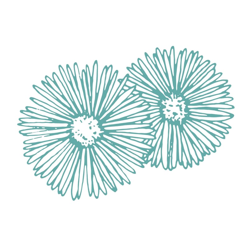 Listening Circles in the Workplace