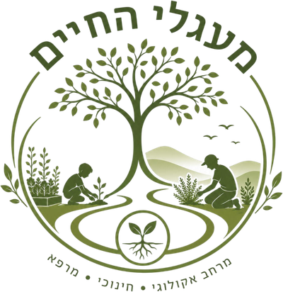 מעגלי החיים
